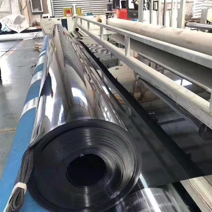 HDPE Smooth Geomembrane